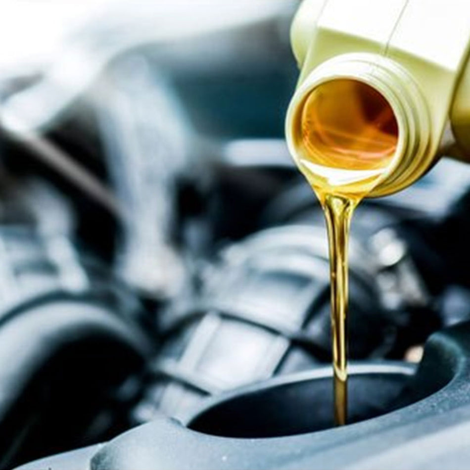 Oil & Fluids