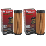 Motorcraft FL2062A Oil Filter | Ford Edge F-150 Explorer 2015-24 | 2-Pack