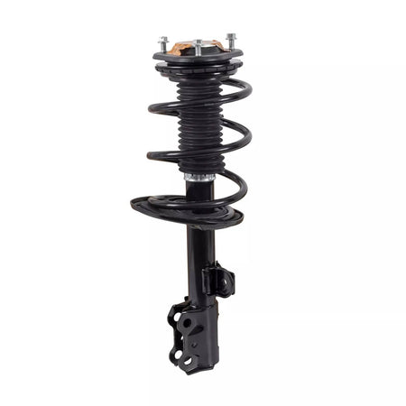 2 Front Struts w/ Coil Spring fit for Toyota RAV4 2.5L 2.4L 2006-2010 2011 2012