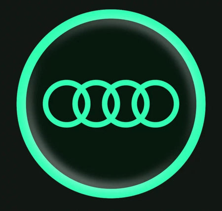 Vehicle emblem sticker Night glow 2 pcs