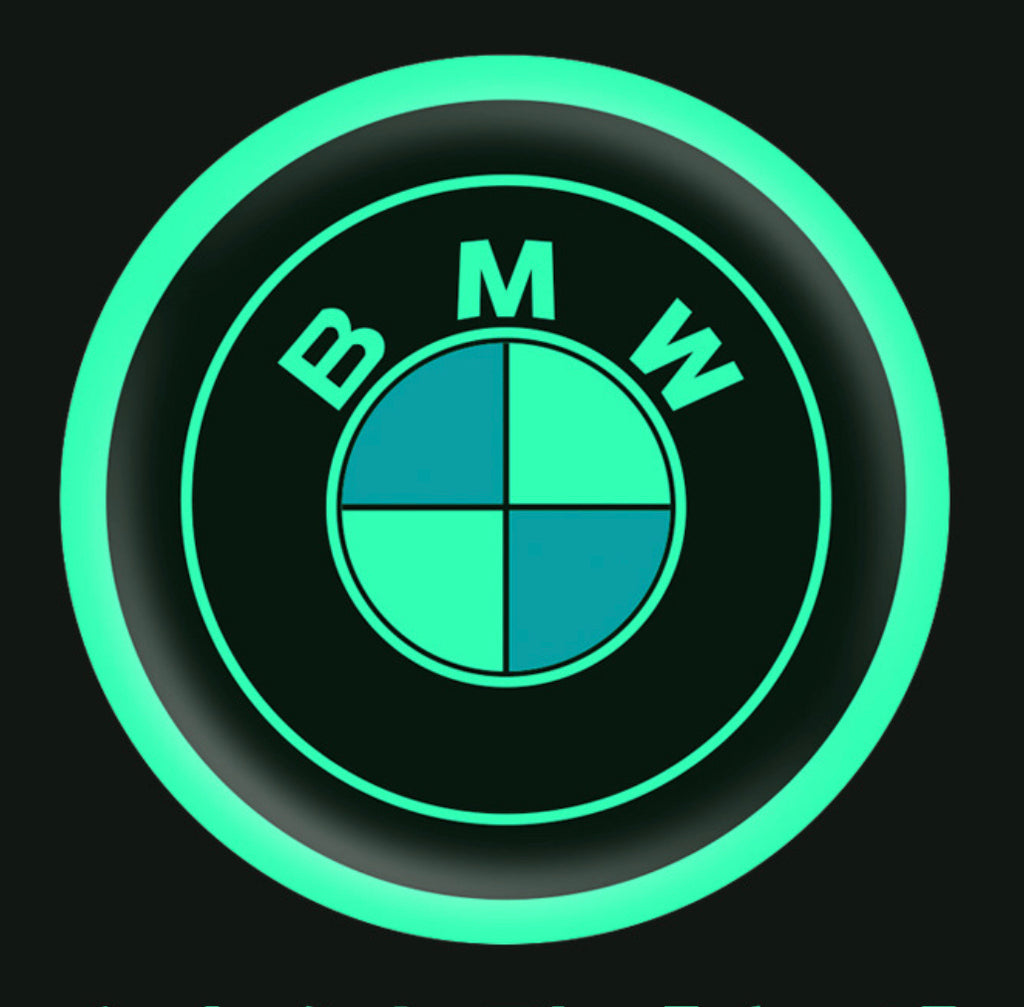 Vehicle emblem sticker Night glow 2 pcs