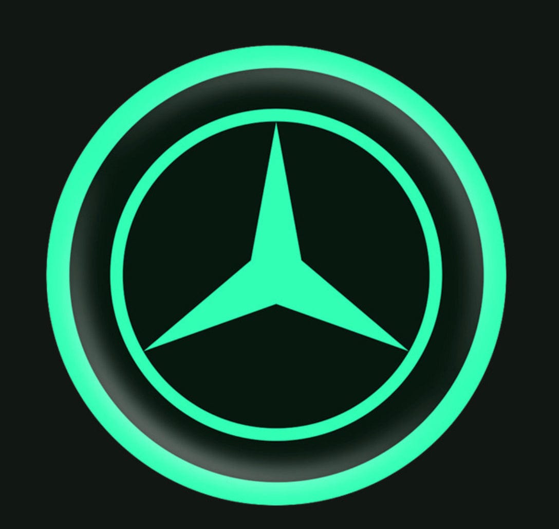Vehicle emblem sticker Night glow 2 pcs