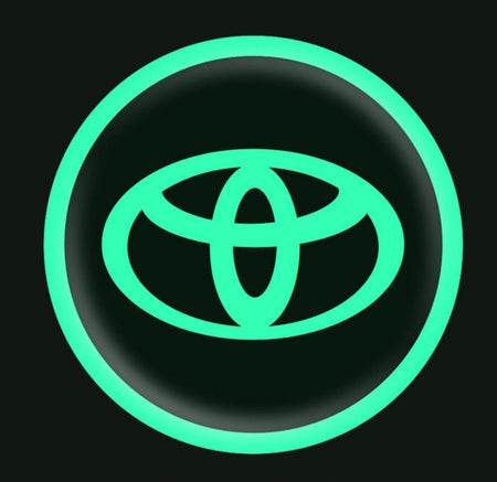 Vehicle emblem sticker Night glow 2 pcs