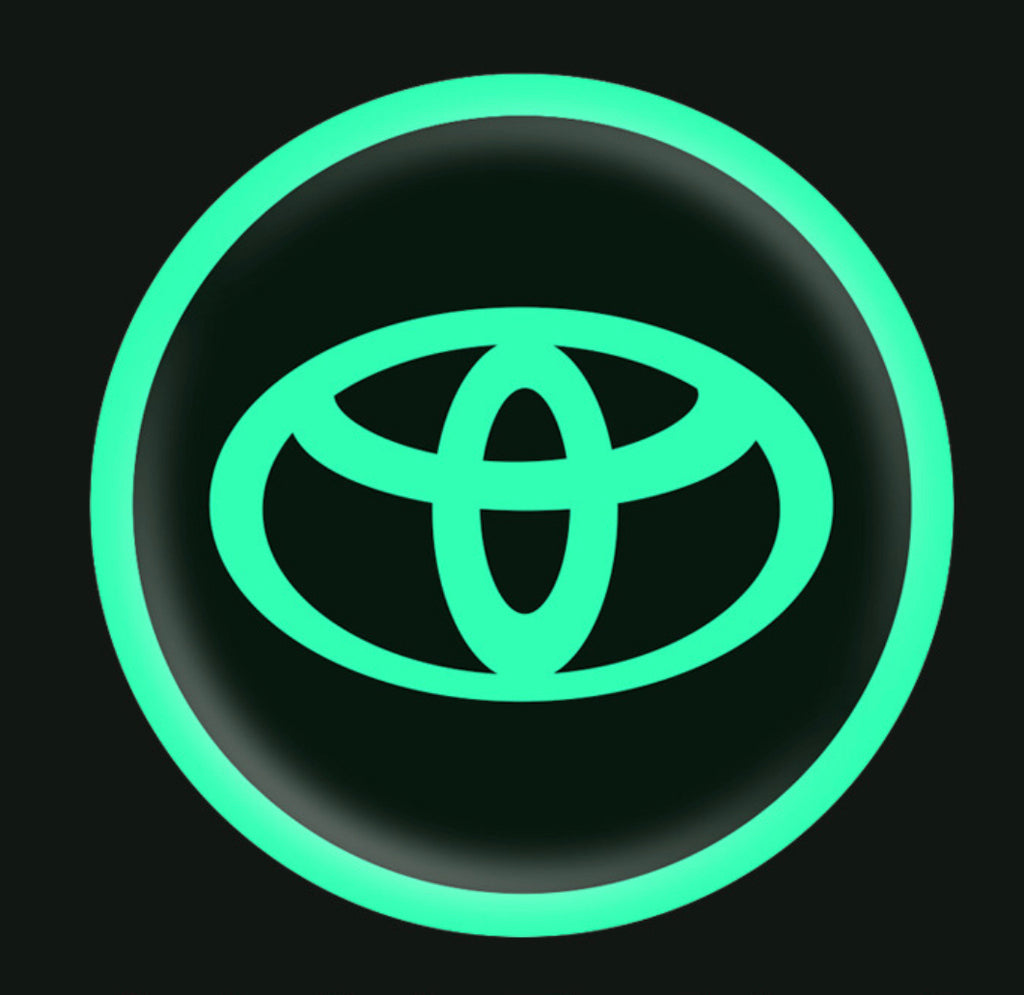 Vehicle emblem sticker Night glow 2 pcs