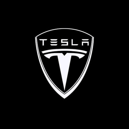 LED Tesla Logo Puddle Lights Car Door Lights For Model 3/ Y/ X/ S Model 3 Highland