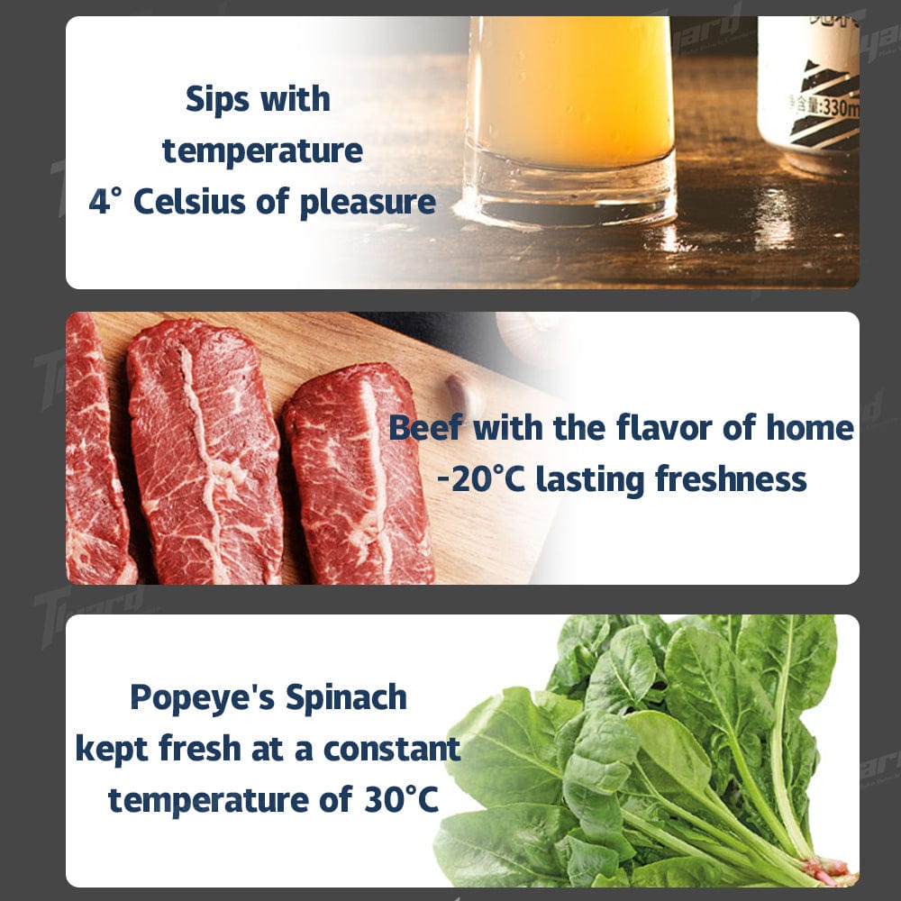 20L App Control Energy-Efficient Cooling Fridge for Model 3 & Model 3 Highland Trunk