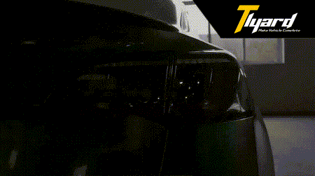 Model 3 & Y Dragon Scale Tail lights Tesla Modification