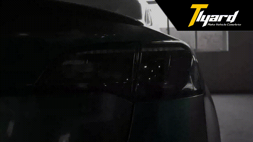 Model 3 & Y Dragon Scale Tail lights Tesla Modification