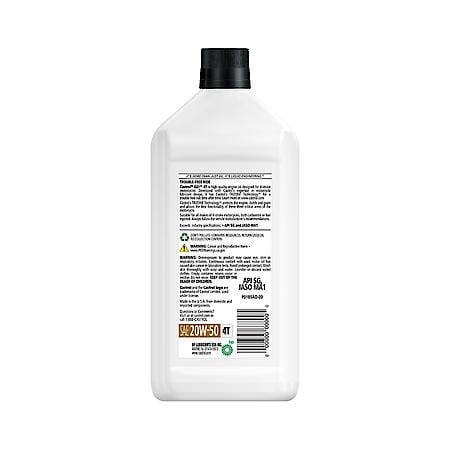 Castrol GO! 4T Conventional 20W-50 Motorcycle Oil: A Trouble-Free Ride Time After Time, 1 Quart