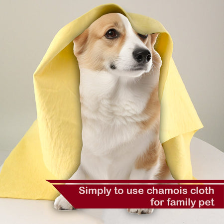 XL PVA Chamois Car Drying Towel 26x17" | Pro Auto Detailing with Storage Tube