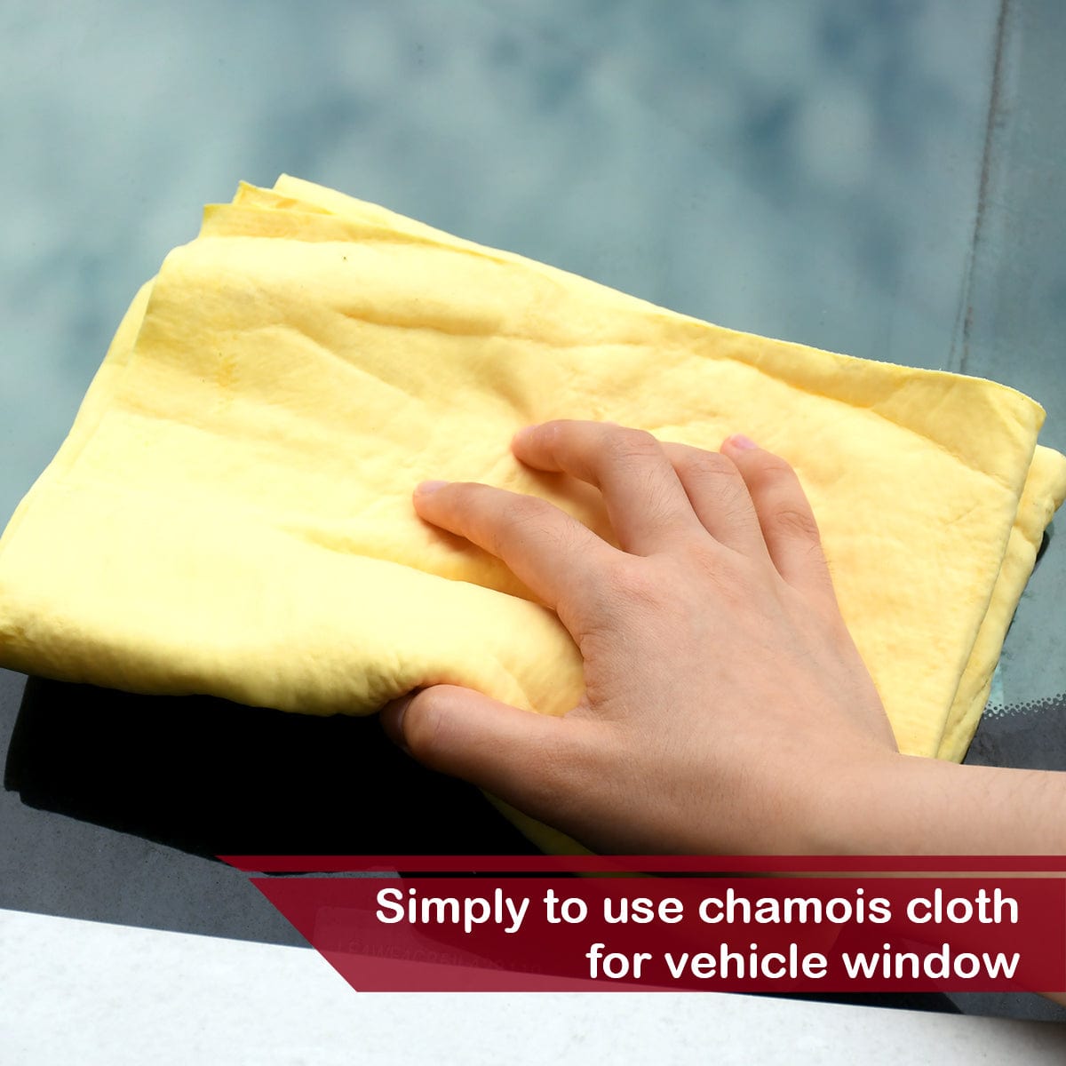 XL PVA Chamois Car Drying Towel 26x17" | Pro Auto Detailing with Storage Tube
