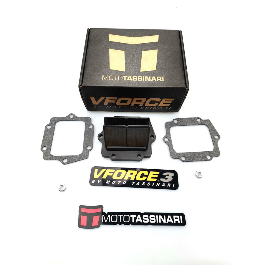 V-Force New MOTO TASSINARI V313A  3 Reed Valve Kawasaki Dirtbike