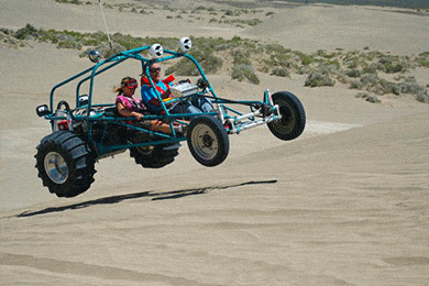 OPTIMA Red Top Battery | All Sizes Available | FREE SHIPPING!