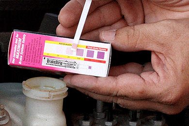 Phoenix Systems Brake Fluid Anti-Rust Treatment - Lowest Price!