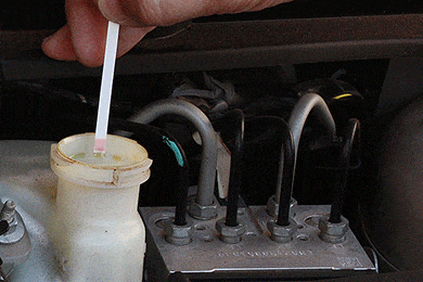 Phoenix Systems Brake Fluid Anti-Rust Treatment - Lowest Price!