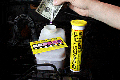 Phoenix Systems Brake Fluid Test Strips - FREE SHIPPING!