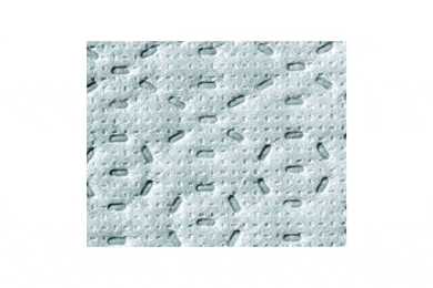 Covercraft Noah Cab-High Shell Cover - FREE SHIPPING