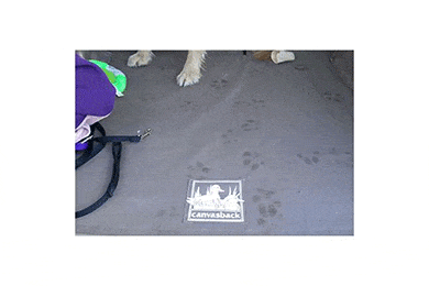 Canvasback Custom Cargo Liners - Custom Fit Canvasback Cargo Liner