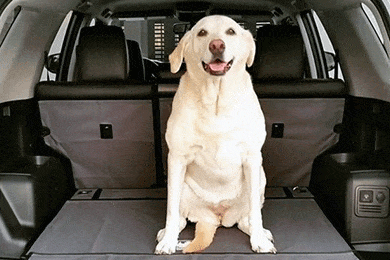 Canvasback Custom Cargo Liners - Custom Fit Canvasback Cargo Liner