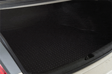 ExactMats Clear Cargo Liners - Free Shipping on Exact Mats Clear Trunk Mats - See Through Cargo Mats