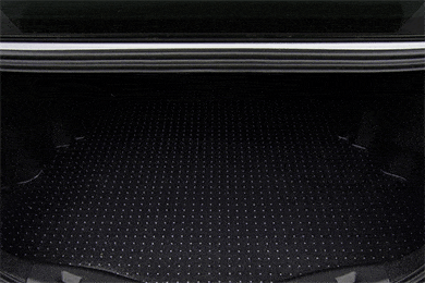 ExactMats Clear Cargo Liners - Free Shipping on Exact Mats Clear Trunk Mats - See Through Cargo Mats