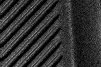 Goodyear Cargo Liners - Free Shipping on Good Year Cargo Mats & Trunk Liners