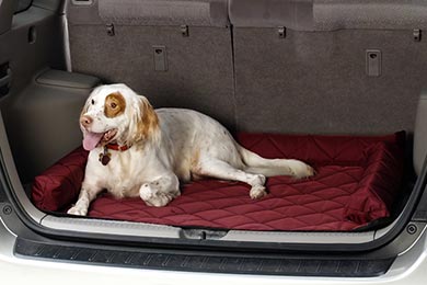 Covercraft Cargo Area Pet Pad - Free Shipping on Covercraft Trunk Pet Mat for Dogs