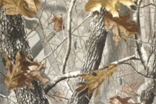 Load image into Gallery viewer, SKANDA Mossy Oak Camo Neosupreme Seat Covers By Coverking - Neoprene Seat Covers | AutoAnything