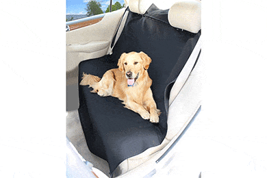 Coverking Seat Shield Canvas Seat Covers #1 Best Price + Reviews