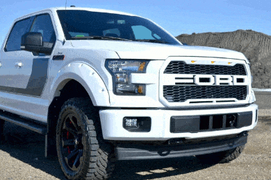 EGR Bolt-On Painted Fender Flares - Paint Matched - FREE SHIPPING!