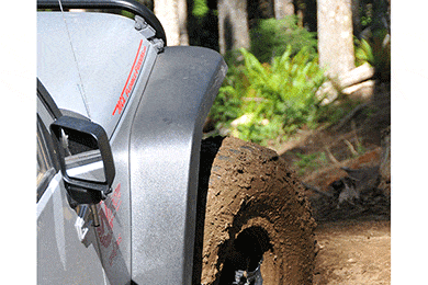 MCE Fenders - Extra Wide & Narrow Width - Free Shipping!