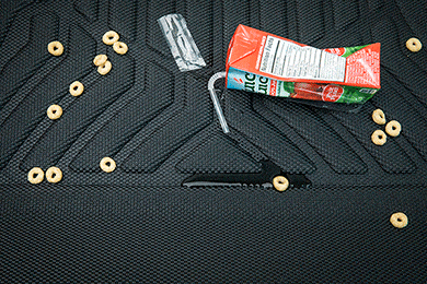 Aries StyleGuard XD Floor Liners - Style & Protection - Lowest Price!