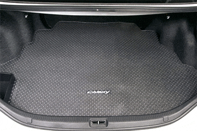 Intro-Tech Protect A Mat - Lowest Price on Protecta Mat Clear Floor Mats by IntroTech Automotive