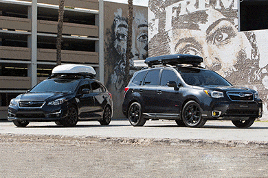 INNO Wedge Cargo Box - Lowest Price on Wedge Roof Box!