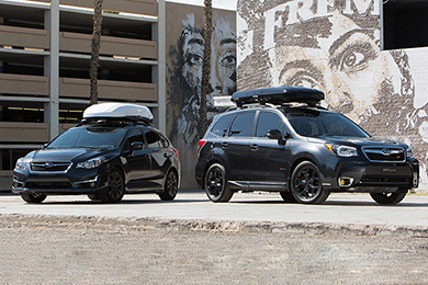 Inno wedge new arrivals plus roof box