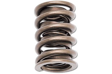 Edelbrock Valve Springs - FREE SHIPPING on Valve Springs