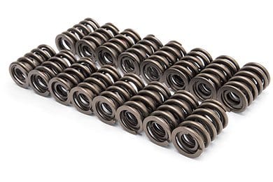 Edelbrock Valve Springs - FREE SHIPPING on Valve Springs