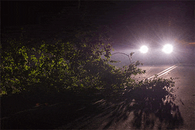 Sylvania SilverStar ULTRA Headlight Bulbs - #1 Best Price on SilverStar Ultra Bulbs for Cars, Trucks & SUVs