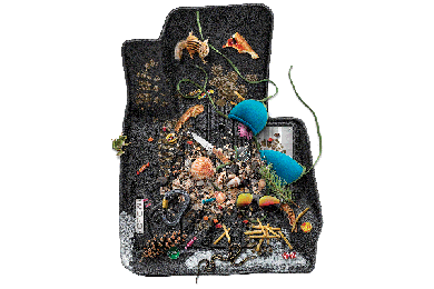 Mogo Floor Liners