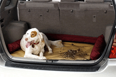 Covercraft Cargo Area Pet Pad - Free Shipping on Covercraft Trunk Pet Mat for Dogs