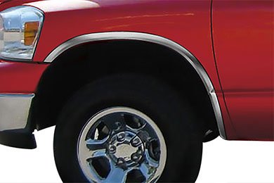 ProZ Stainless Steel Fender Trim - FREE SHIPPING!