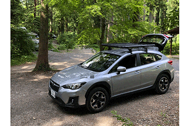 INNO Roof Deck Cargo Basket - INA510 & INA520 - Roof Platform Racks