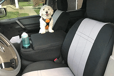 CalTrend NeoSupreme Seat Covers - Neoprene Custom Seat Covers