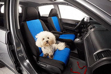 CalTrend NeoSupreme Seat Covers - Neoprene Custom Seat Covers