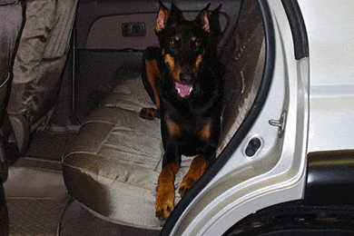 Coverking Cordura Ballistic Seat Covers - Canvas Car & Truck Seat Covers