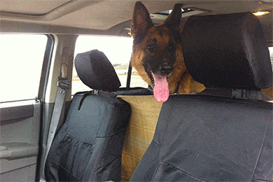 Coverking Cordura Ballistic Seat Covers - Canvas Car & Truck Seat Covers