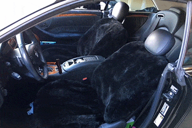 Superlamb Semi-Custom Sheepskin Seat Covers - FREE SHIPPING!