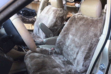Superlamb Semi-Custom Sheepskin Seat Covers - FREE SHIPPING!
