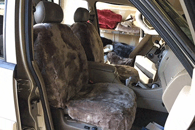 Superlamb Semi-Custom Sheepskin Seat Covers - FREE SHIPPING!