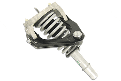 SenSen Speedy Strut Spring and Strut Assembly - FREE SHIPPING!